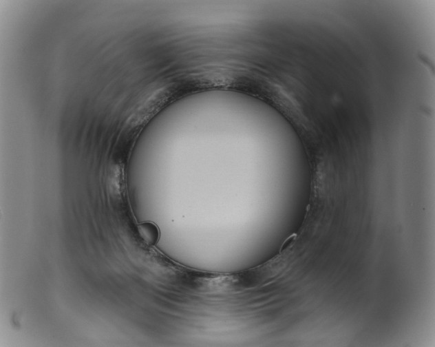 X0000099380122200805221815