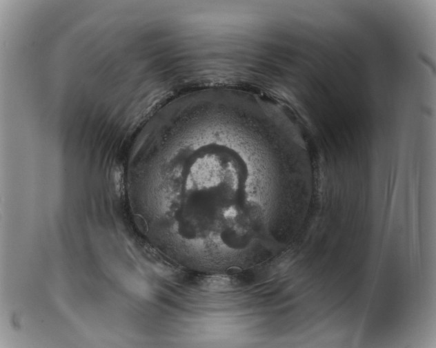 X0000099380123200805221815