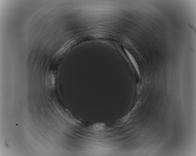 X0000099380124200805221815