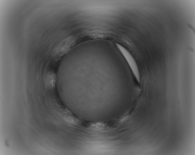 X0000099380125200805221815