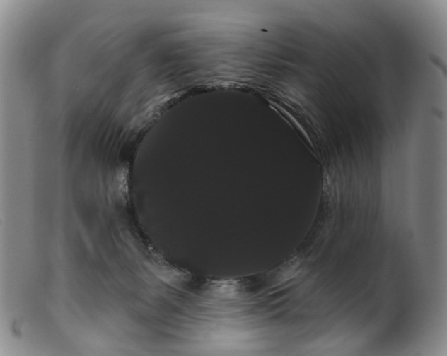 X0000099380127200805221815