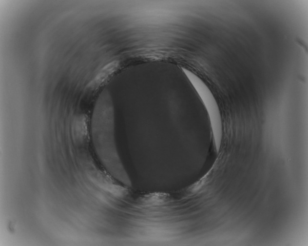 X0000099380128200805221815