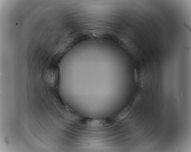 X0000099380129200805221815