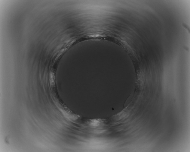 X0000099380130200805221815