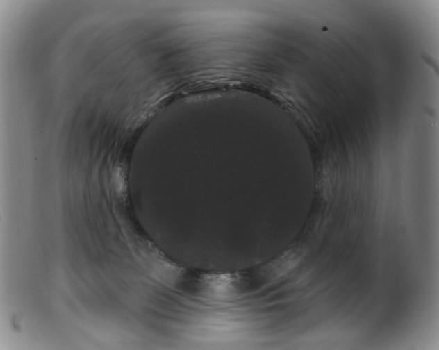 X0000099380131200805221815