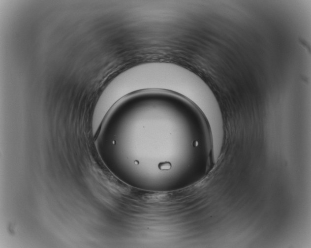 X0000099380132200805221815