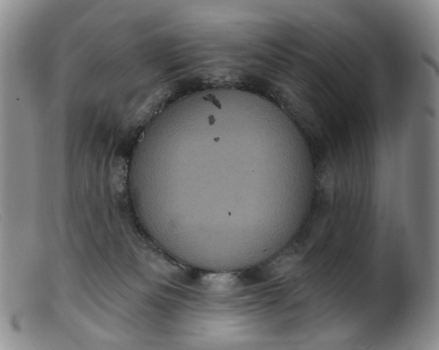 X0000099380133200805221815