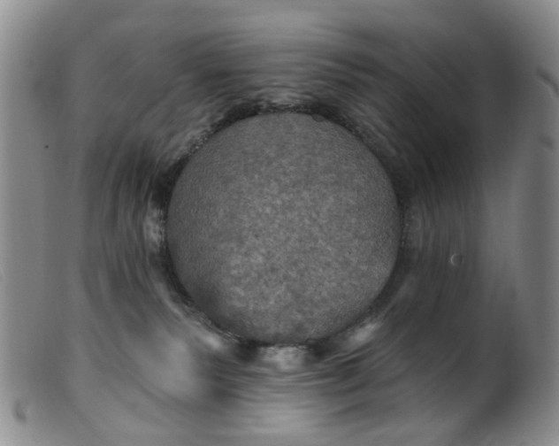 X0000099380135200805221815