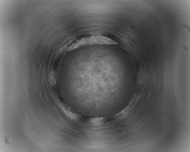 X0000099380136200805221815