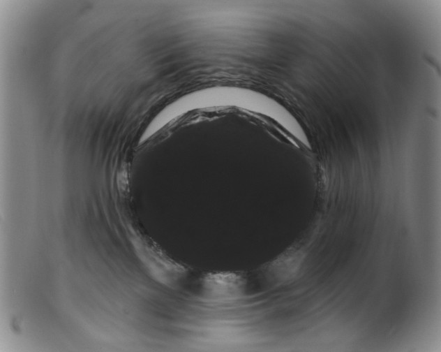 X0000099380137200805221815