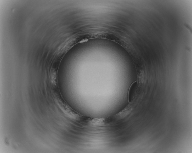 X0000099380138200805221815