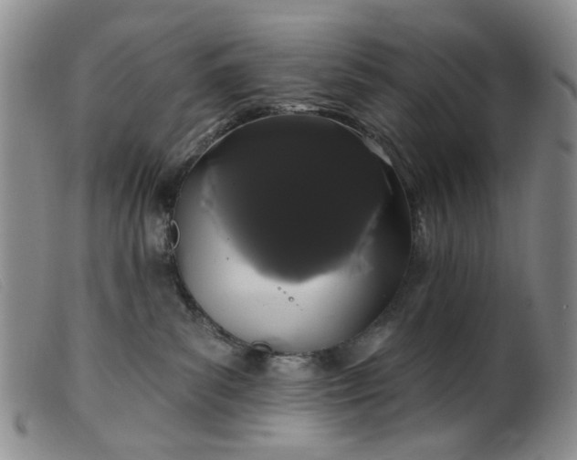 X0000099380139200805221815