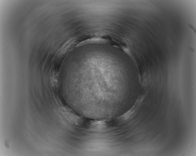 X0000099380140200805221815