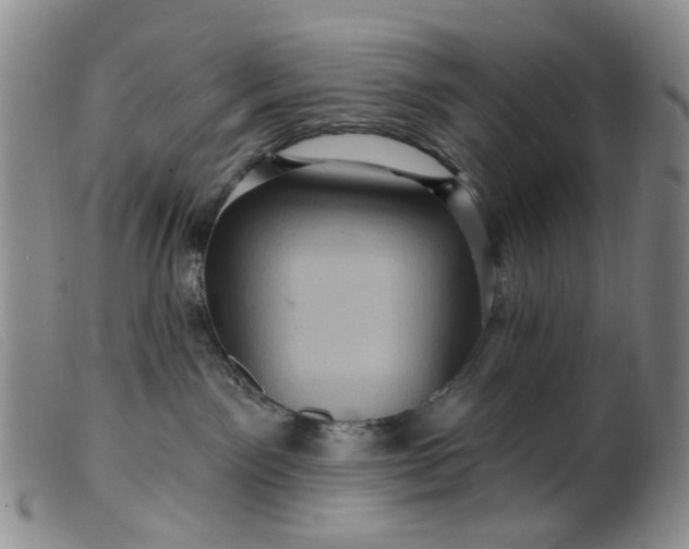 X0000099380141200805221815