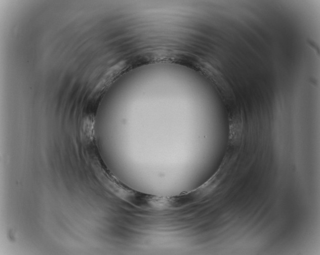 X0000099380142200805221815