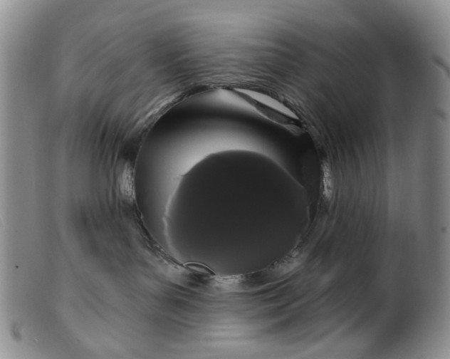 X0000099380143200805221815