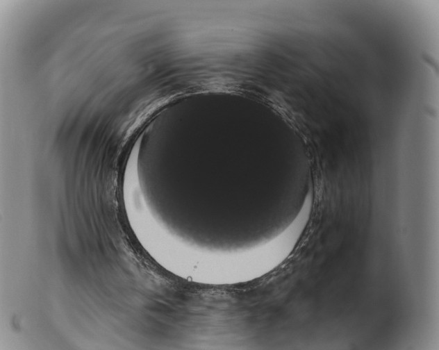 X0000099380146200805221814