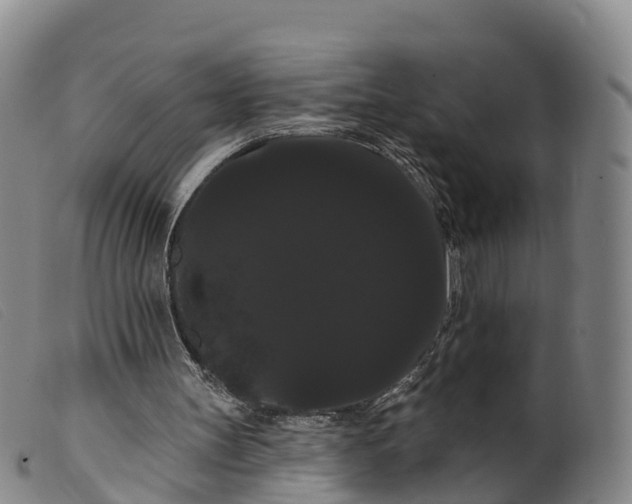 X0000099380147200805221814