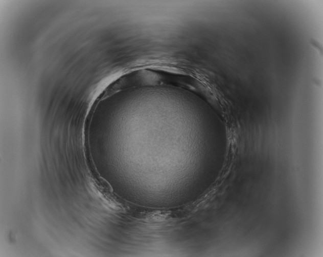 X0000099380148200805221814