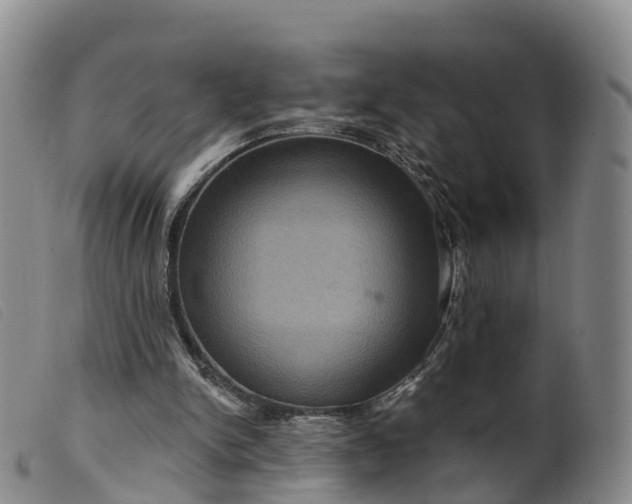 X0000099380150200805221814