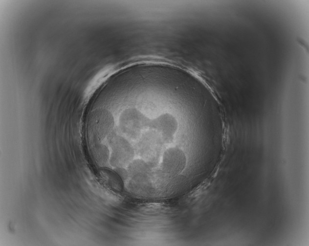 X0000099380151200805221814