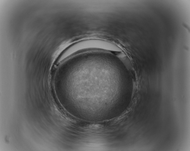 X0000099380152200805221814