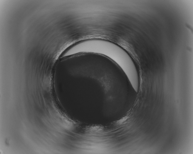 X0000099380156200805221814