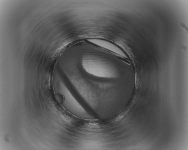 X0000099380157200805221814