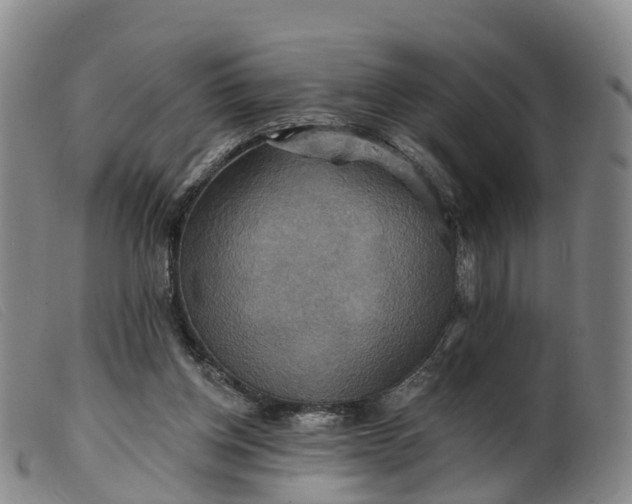 X0000099380158200805221814