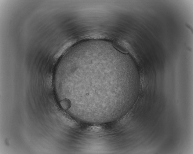 X0000099380159200805221814