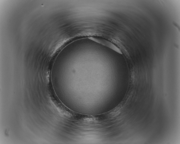 X0000099380160200805221814