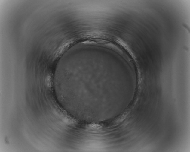 X0000099380161200805221814