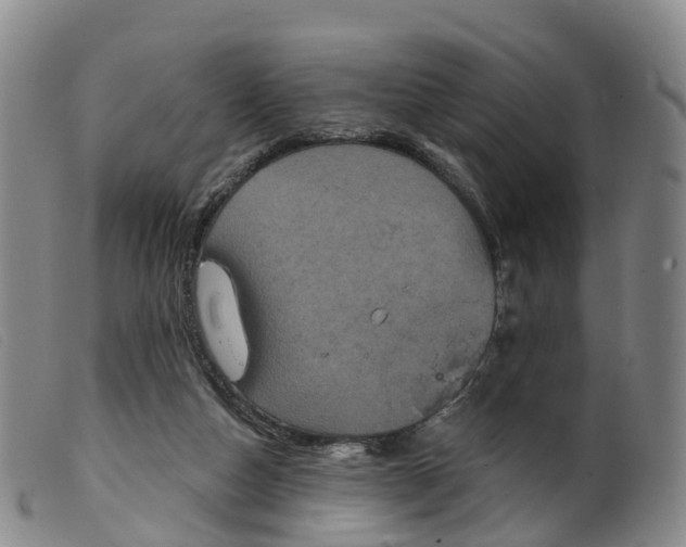 X0000099380162200805221815