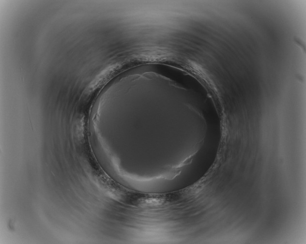 X0000099380163200805221815