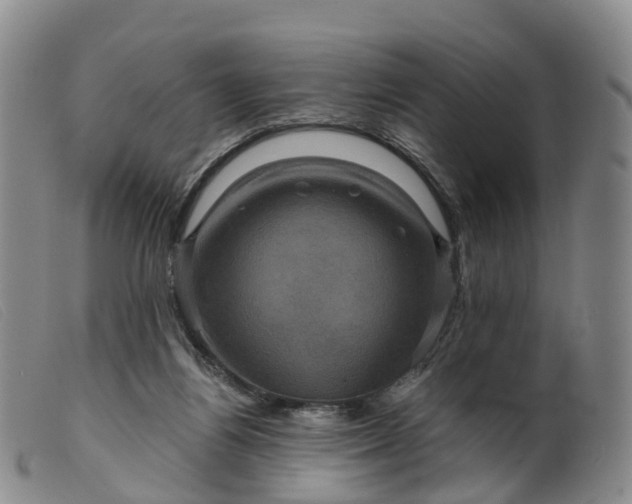 X0000099380164200805221815