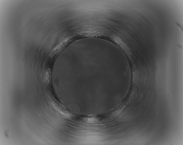 X0000099380165200805221815