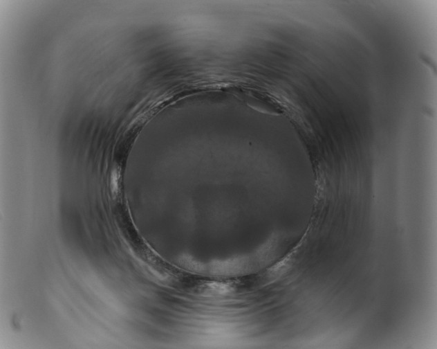 X0000099380166200805221815