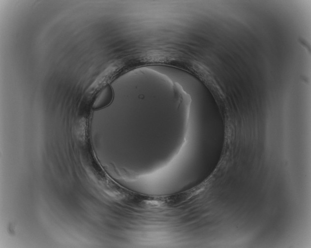 X0000099380167200805221815