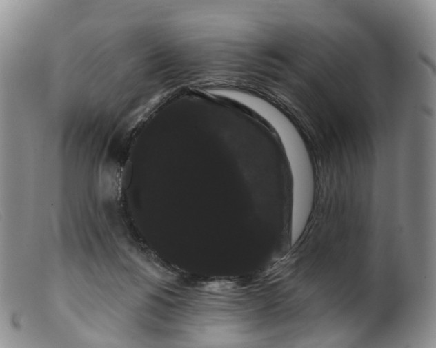 X0000099380168200805221815