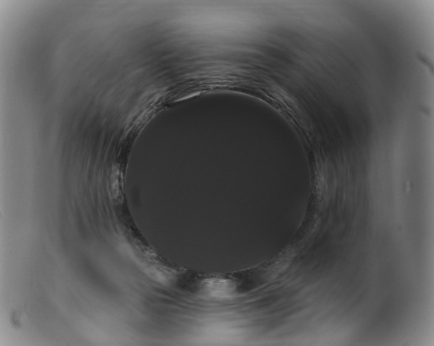 X0000099380169200805221815