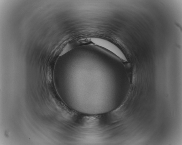 X0000099380170200805221815