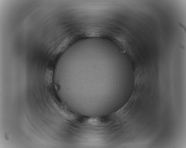 X0000099380171200805221815