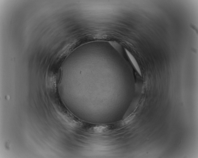 X0000099380172200805221815