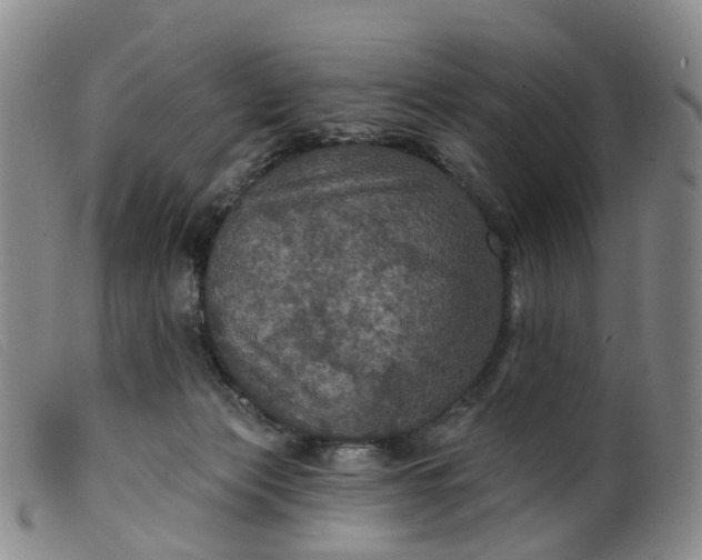 X0000099380173200805221815