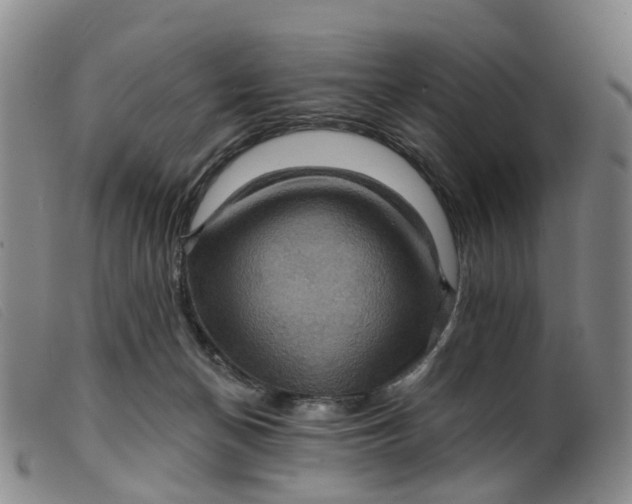 X0000099380174200805221815