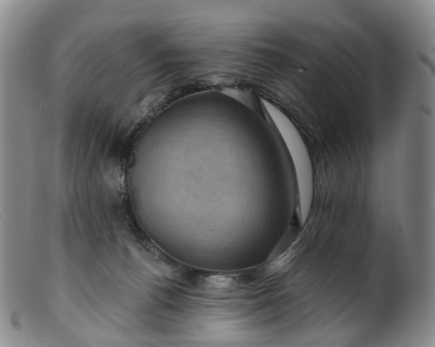 X0000099380176200805221815