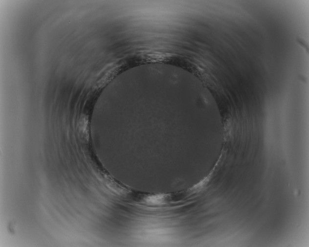 X0000099380178200805221815