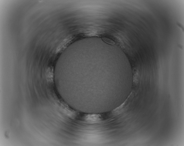 X0000099380179200805221815