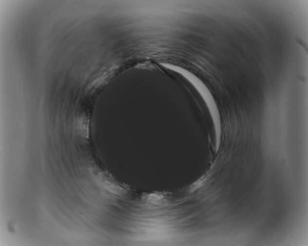 X0000099380180200805221815