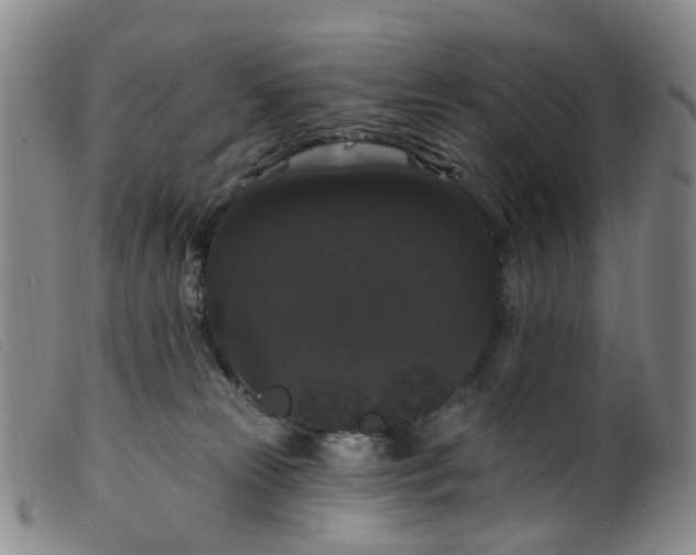 X0000099380181200805221815